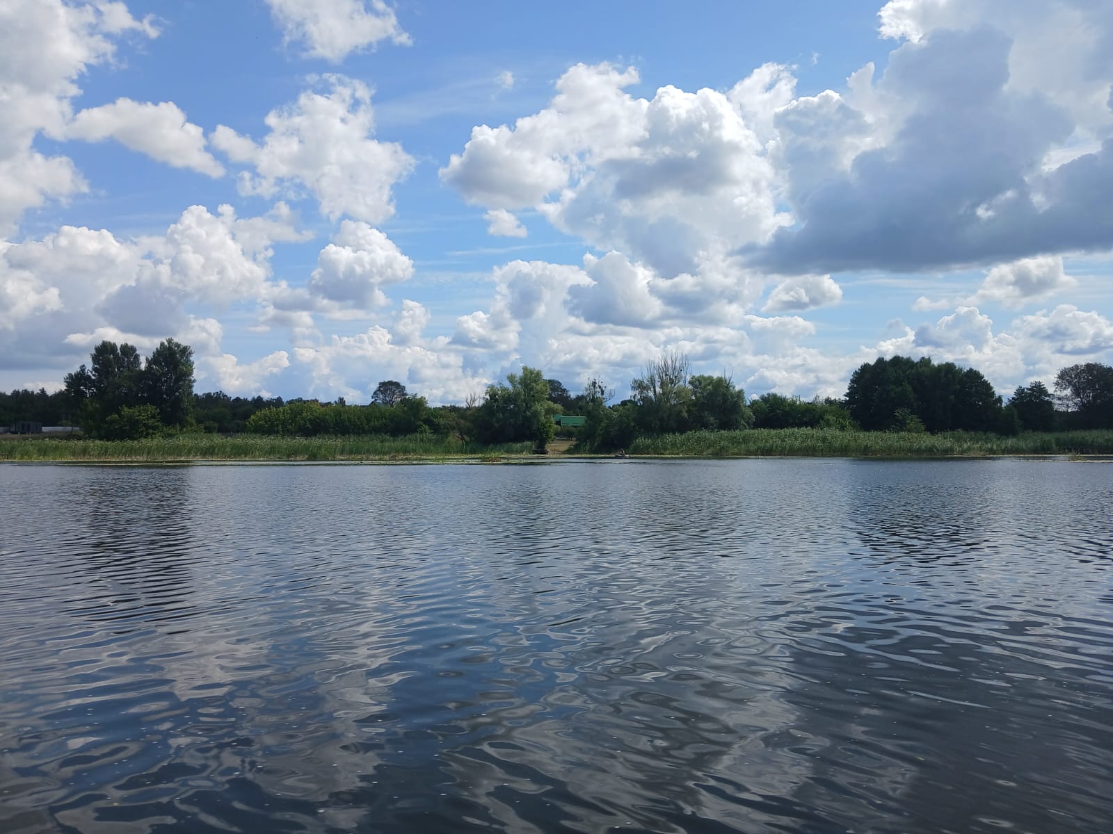 Спостереження  на Стеблівському водосховищі щодо різкого пониження рівнів води