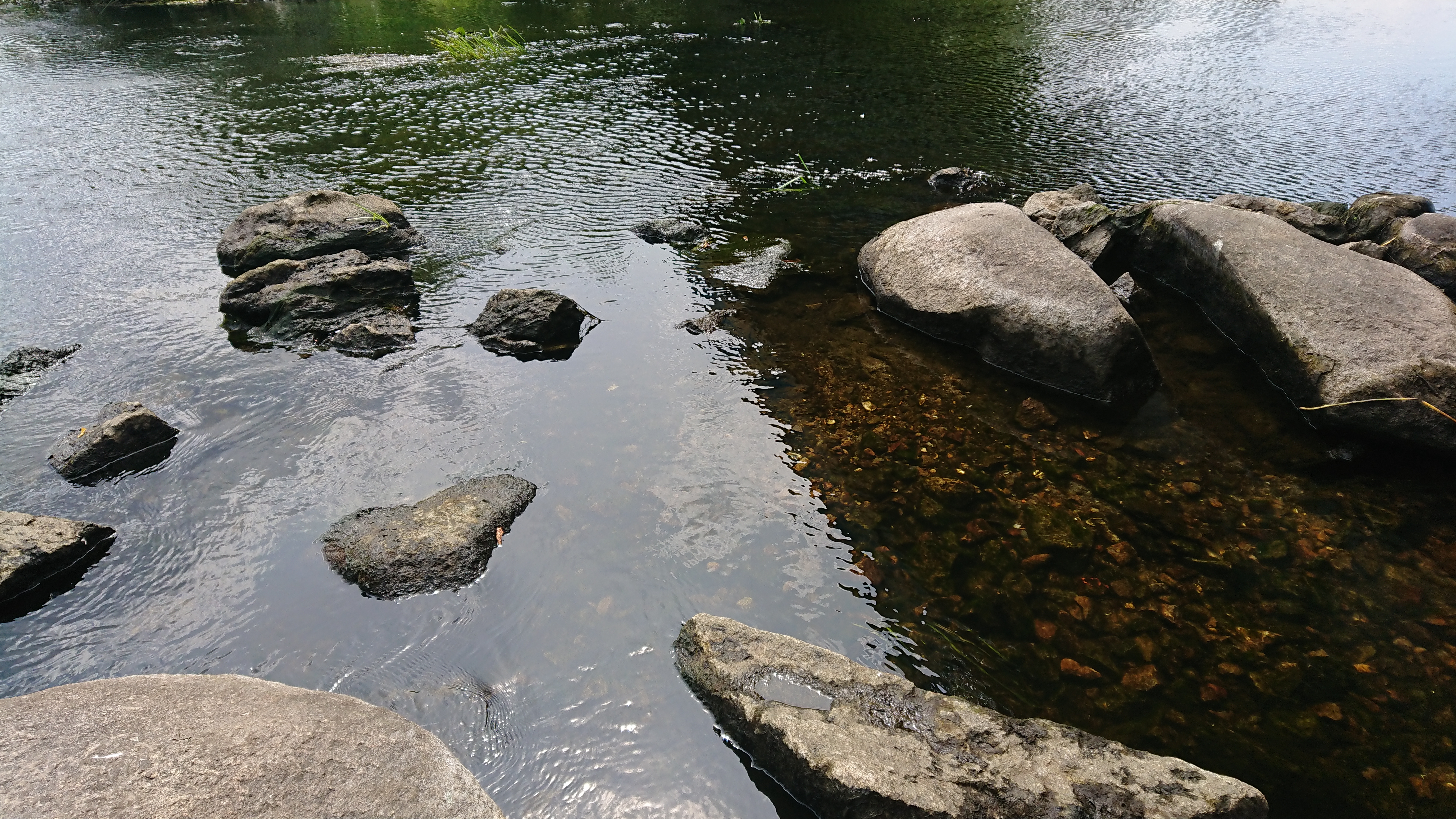 Моніторинг водних об’єктів