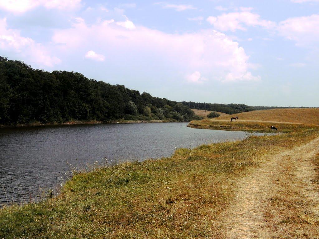 Виконання прироодоохороних заходів у 2026 році