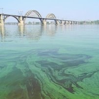 Чому зеленіють блакитні простори. Стаття в "Урядовому кур'єрі" та коментар БУВР Росі