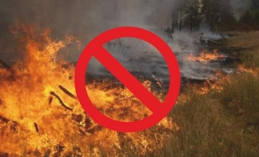 У Тетієві горів заказник «Лебединий»