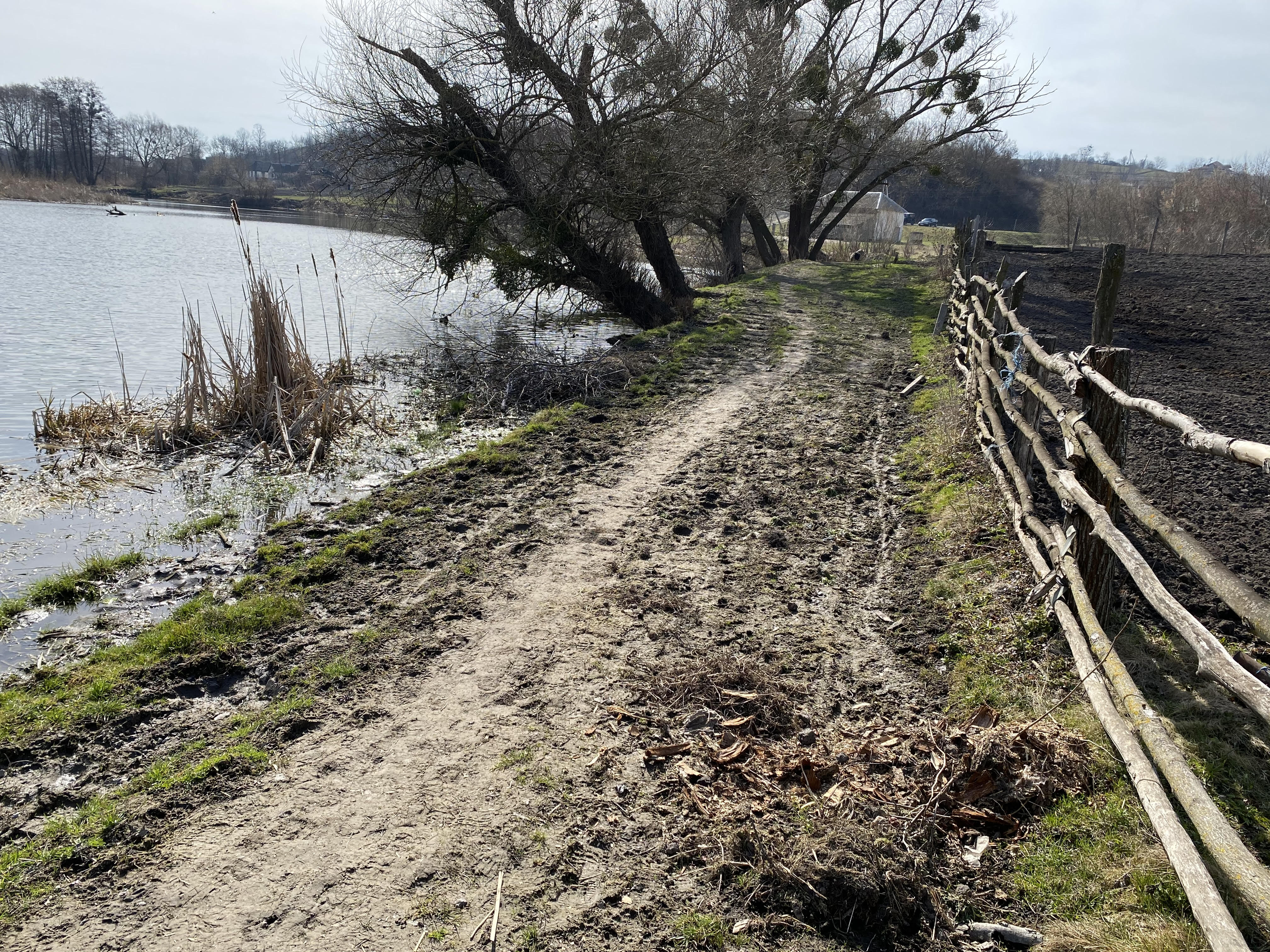 Стан прибережних захисних смуг річки Рось