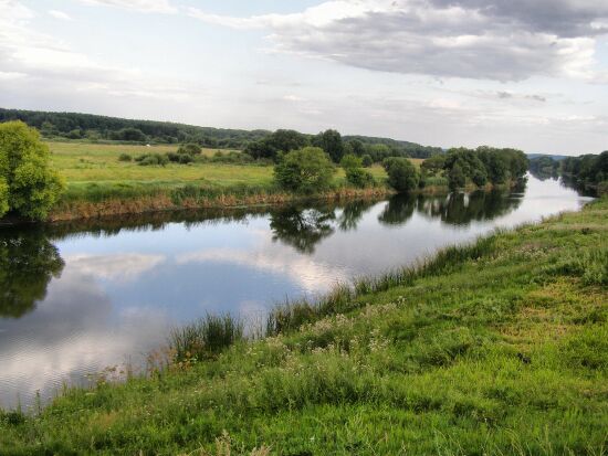 БІЛОЦЕРКІВСЬКЕ НИЖНЄ ВОДОСХОВИЩЕ