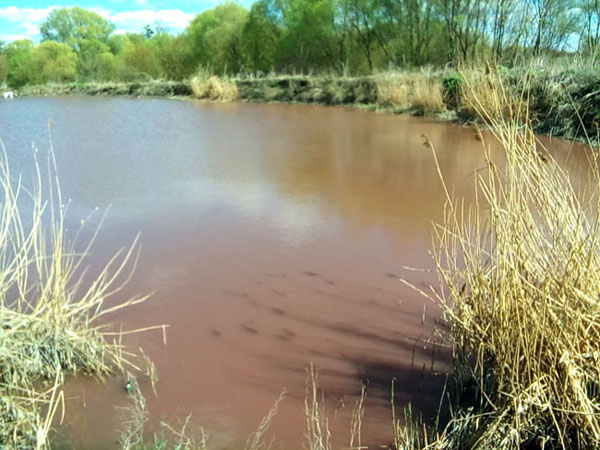 Виявлено факт забруднення водного об'єкту