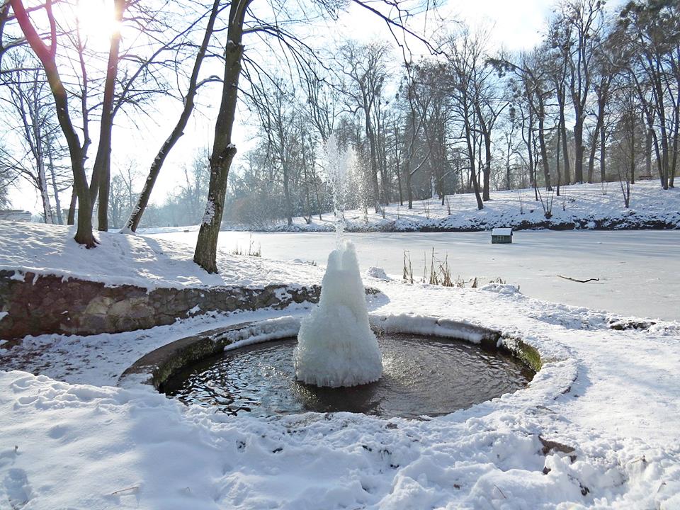 Характеристика якісного стану вод річки Рось у січні 2018 року